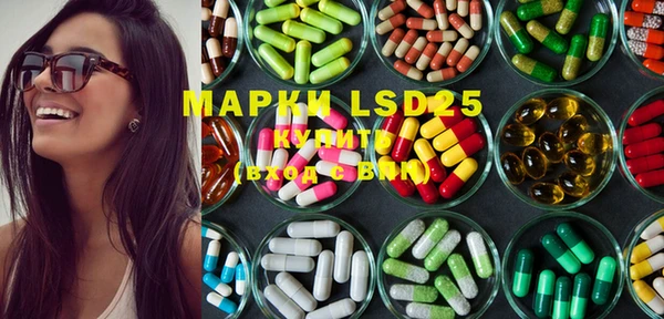 шишки Кодинск