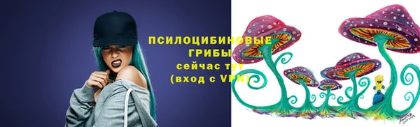 тгк Козловка