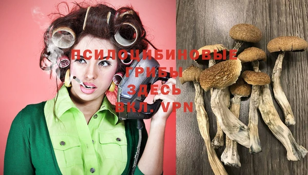 шишки Кодинск